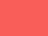 Neon Red Color Chip